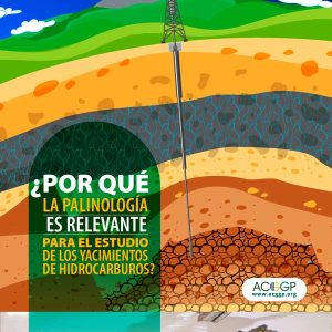 ¿Por qué es relevante la palinología para el estudio de yacimientos de hidrocarburos?