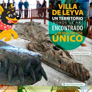 En Villa de Leyva se ha encontrado un registro fósil único