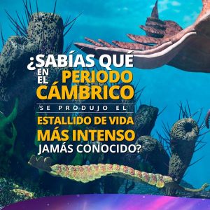 Estallido de vida en el cámbrico