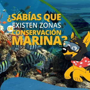 zonas de conservación marina