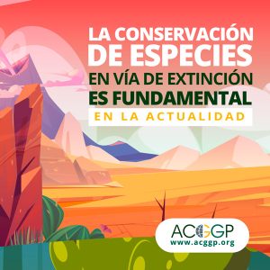 Conservación de especies