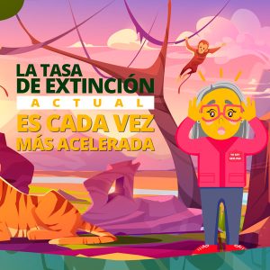 tasa de extinción acelerada