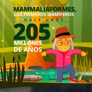 Mammaliaformes