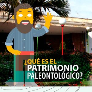 ¿Qué es el patrimonio paleontológico?