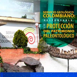 Servicio Geológico Colombiano protege el patrimonio paleontológico