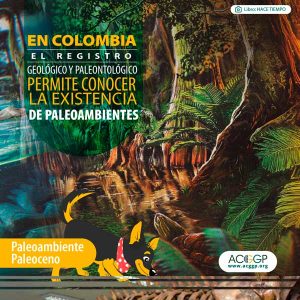 Paleoambiente paleoceno