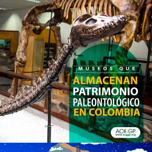 Museos paleontológicos en Colombia