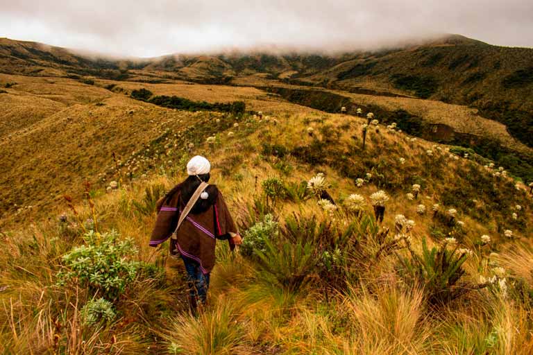 Una mujer caminando en un páramo