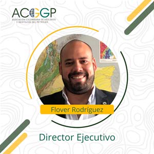 Director ejecutivo