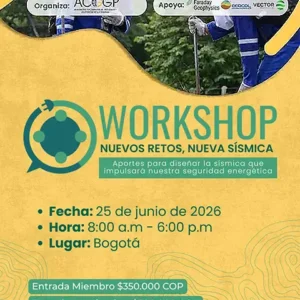 Workshop ACGGP - Aportes para diseñar la nueva sísmica que impulsará nuestra seguridad energética